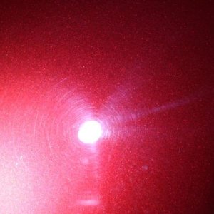 tn_IMG_6516