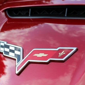 tn_IMG_6545