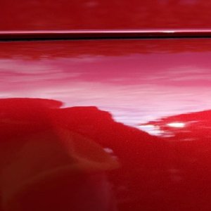 tn_IMG_6555