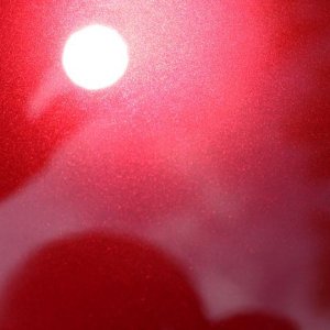 tn_IMG_6558