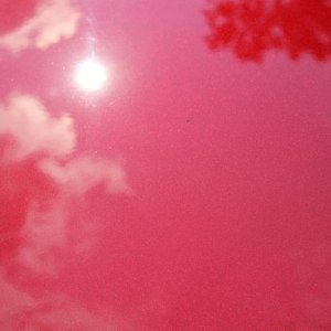 tn_IMG_6565