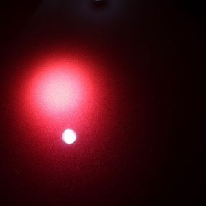 tn_IMG_6569
