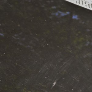 tn_DSC_0005