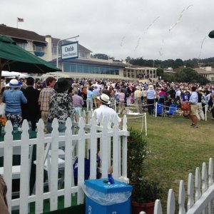 Cars on display at Pebble Beach Concours De Elegance