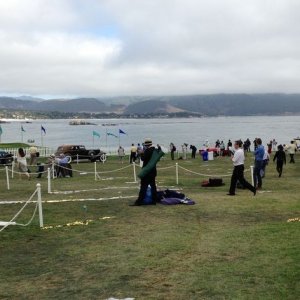 Cars on display at Pebble Beach Concours De Elegance