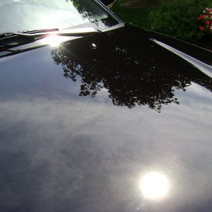 Hood Reflection