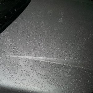 Equinox hood