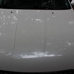 tn_IMG_6734