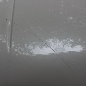 tn_IMG_6735