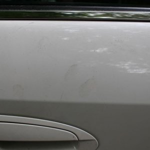 tn_IMG_6739