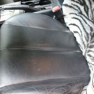 tn_IMG_6746