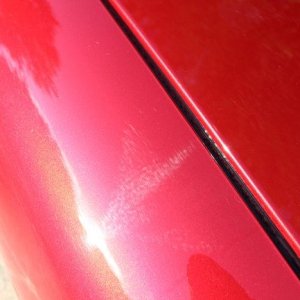 tn_IMG_6775