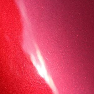 tn_IMG_6779