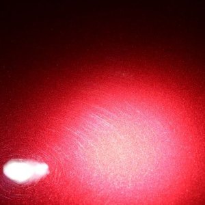 tn_IMG_6790
