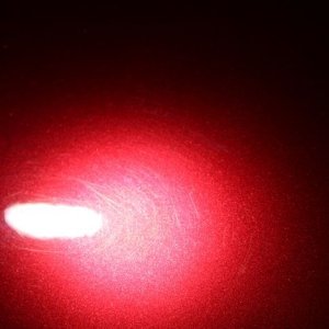 tn_IMG_6791