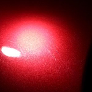 tn_IMG_6792