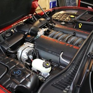 tn_IMG_6793