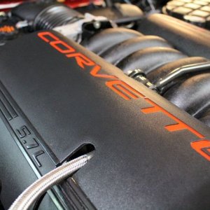 tn_IMG_6795