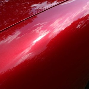 tn_IMG_6810