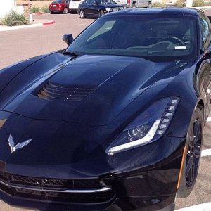 Vette
