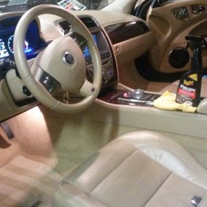 jaguar