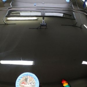 tn_IMG_7159