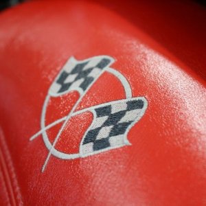 tn_IMG_7161