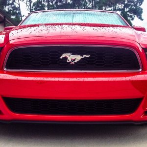 My 2014 Mustang V-6 rag top