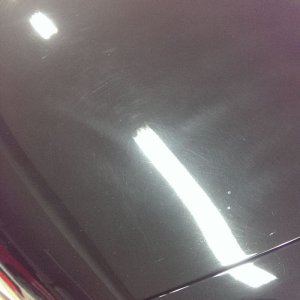 tn_IMAG0771