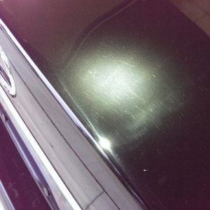 tn_IMAG0774