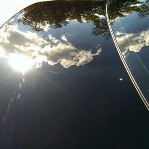 tn_IMAG0789