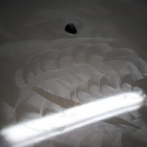 IMG_52302
