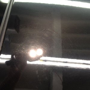 tn_IMG_3393