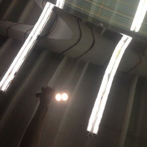 tn_IMG_3417