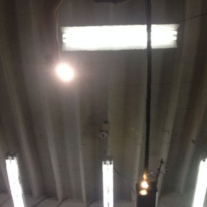 tn_IMG_3423