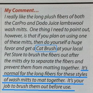 Cat Brush Page 25 Mike Phillips