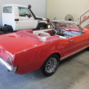mustang11