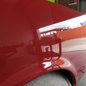 mustang10