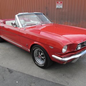mustang13