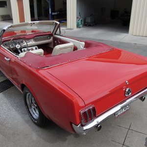 mustang15