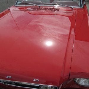 mustang18