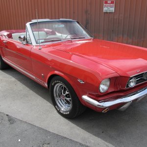 mustang19