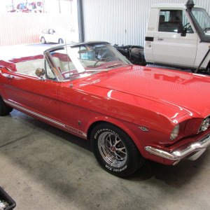 mustang2