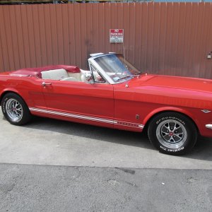 mustang20