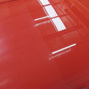 mustang7