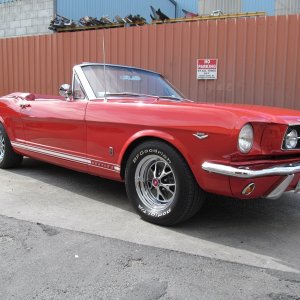 mustang21