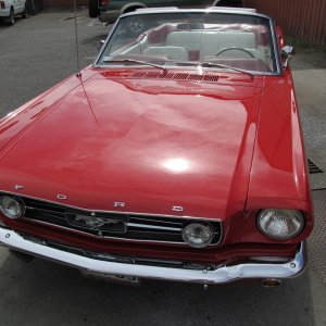 mustang23