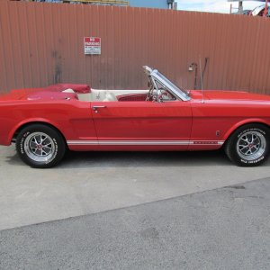 mustang24