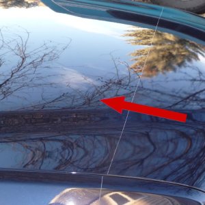 Car-Bra