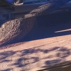 Toyota door saved